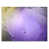 Wrapped Canvas