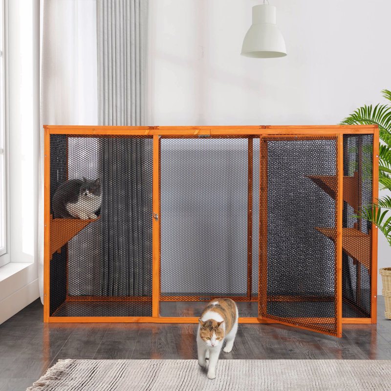 Enclos pour chat avec toit imperméable et 3 plateformes de saut