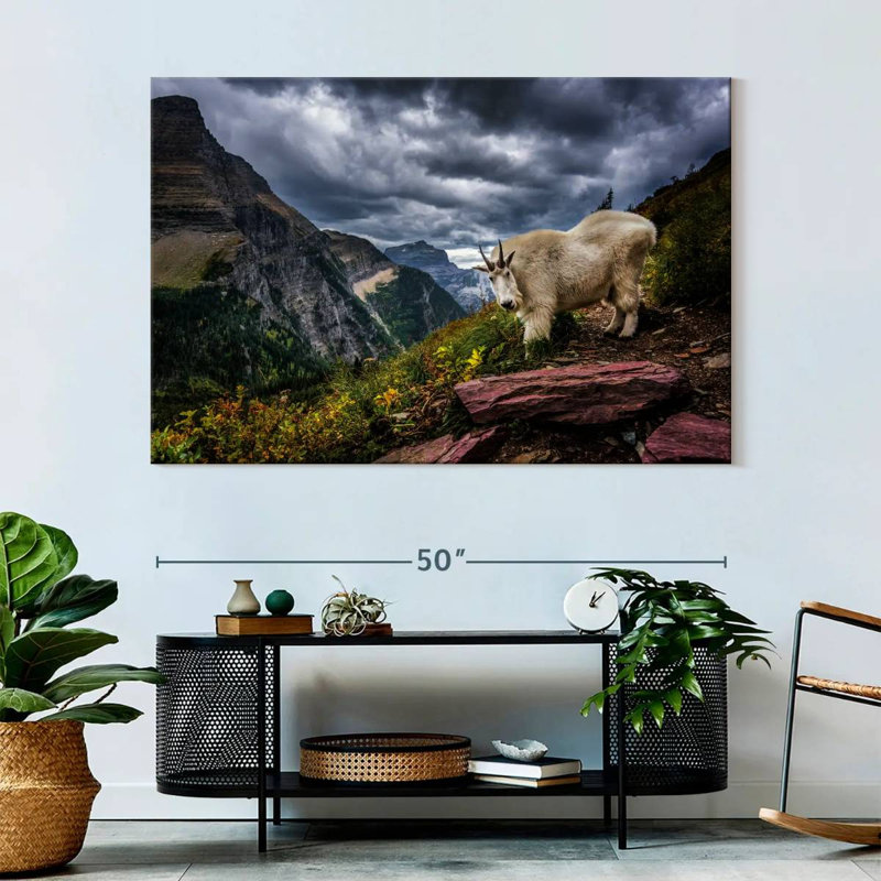 Brampt Rocky Mountain Goat