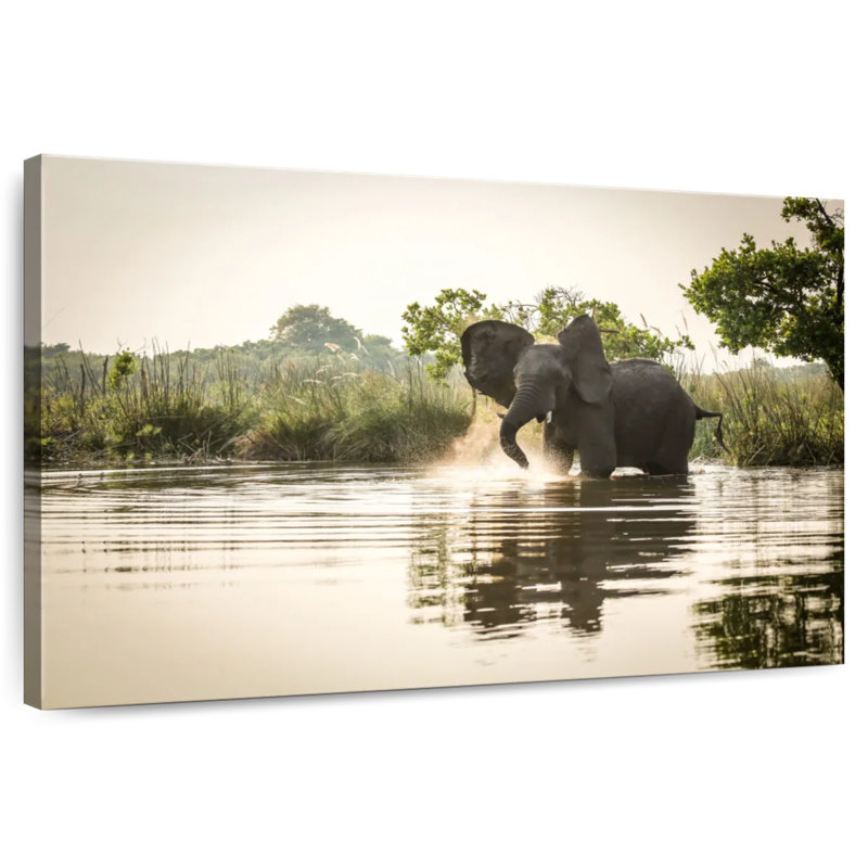 Brampt Elephant River Play, H 16 po x l 24 po