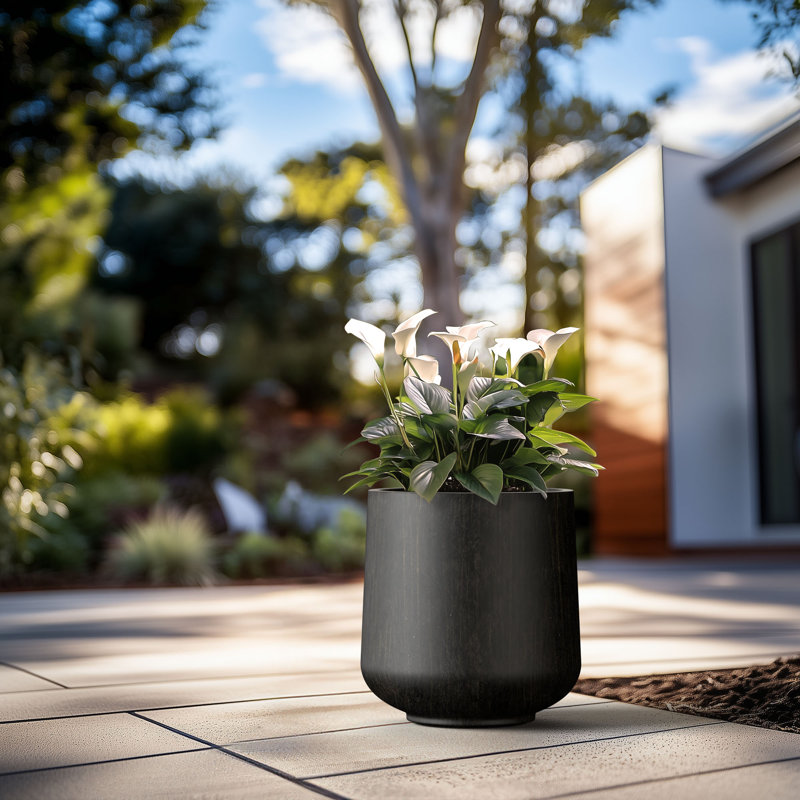 Grand pot à fleurs Brenno, H 17,32 po x l 16,54 po x P 16,54 po, Noir bronzé