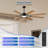 72-Inch 8-Blade Large Ceiling Fan,Reversible Quiet DC Motor,Indoor/Outdoor Modern Ceiling Fan,Suitable For Kitchen,Living Room And Terrace,Black.
