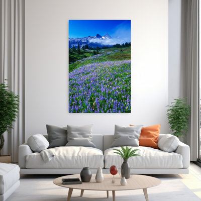 Wildflowers Blooming In Meadow Distant Tattoosh Mountain Range In Fog Mount Rainier National Park Washington United States Tranquil Abstract Contem...