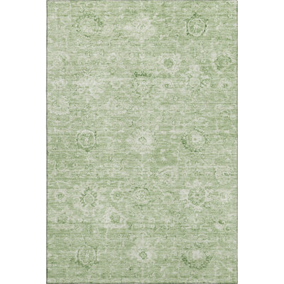Premium Machine Washable Wayne AMF1089 Damask Rug