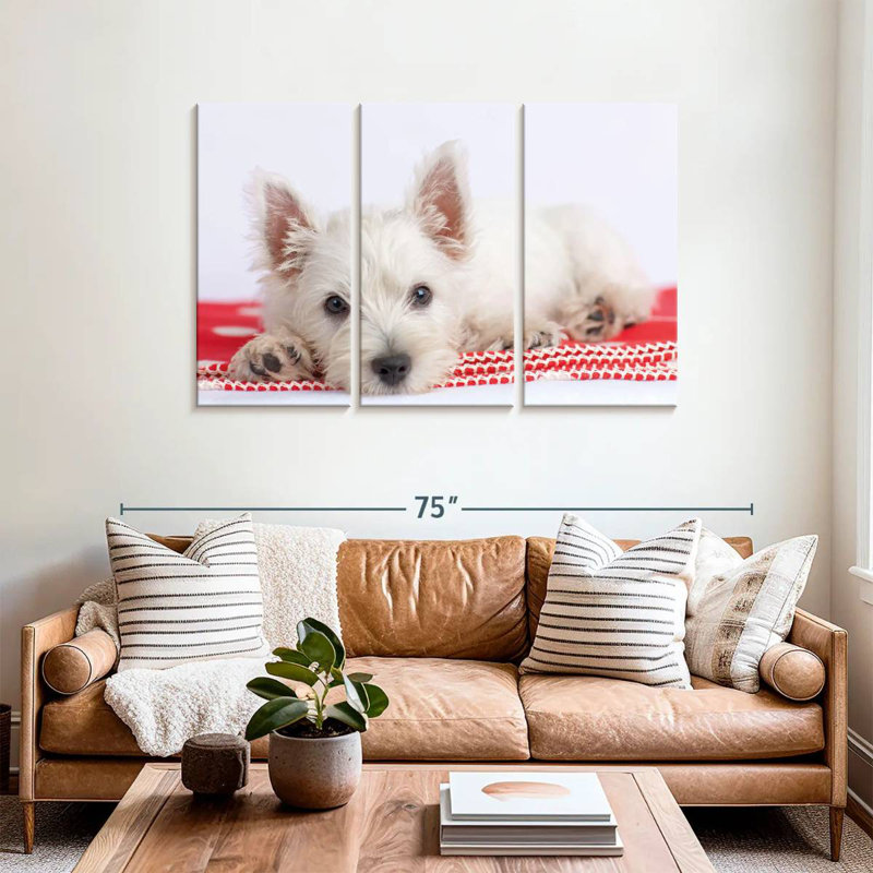 Brampt Blanco I, 36" H x 57" W