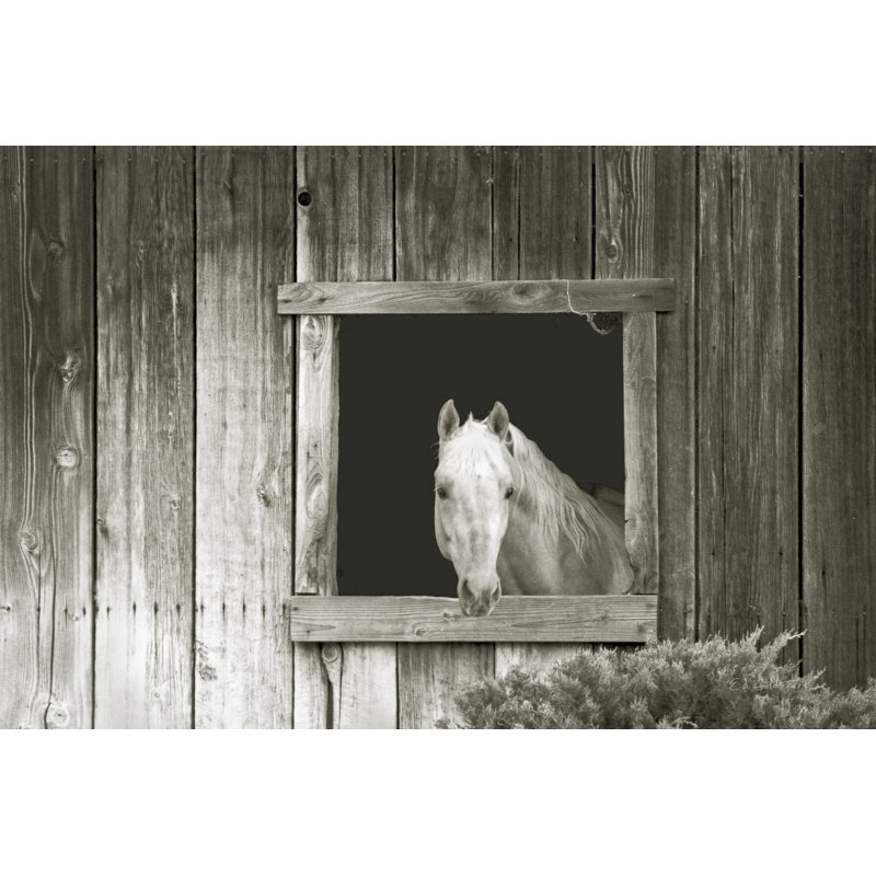 «Welcom Mare Light» par Ed Goldstein - photographie sur toile tendue, H 32 po x l 48 po