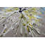 Floral Hand Woven Area Rug-69516994