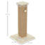 Scratching Post