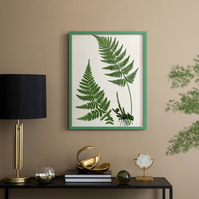 Fern II Framed Print - Solid Wood
