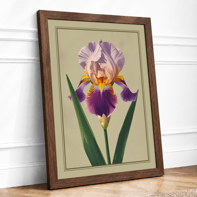 Bearded Iris Botanical - Framed Print