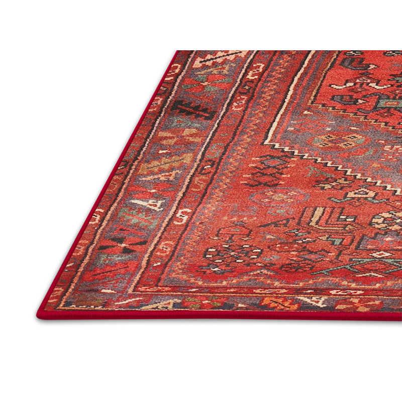 Oriental Indoor Rug, Rectangle 7' x 10'
