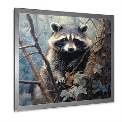 " Racoon Wanderer III "