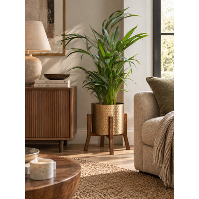 Brentry Indoor Pot Planter