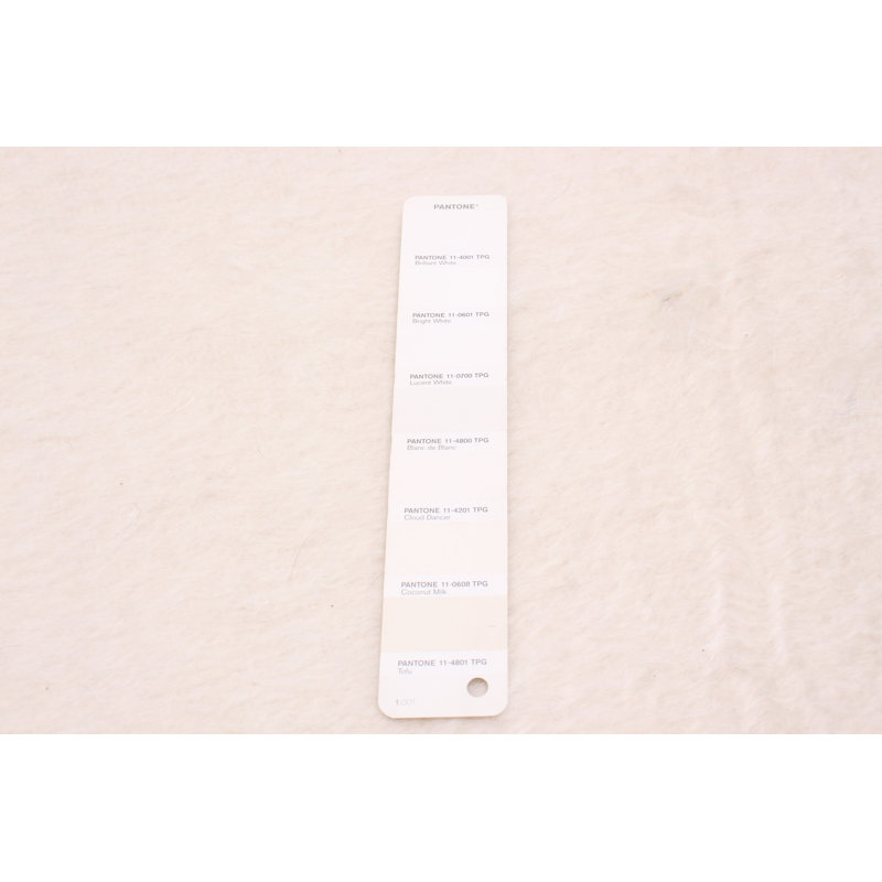 Tapis de couleur unie en laine tissé à plat à la main couleur crème Lunnie, Rectangle 7 pi 10 po x 11 pi 2 po