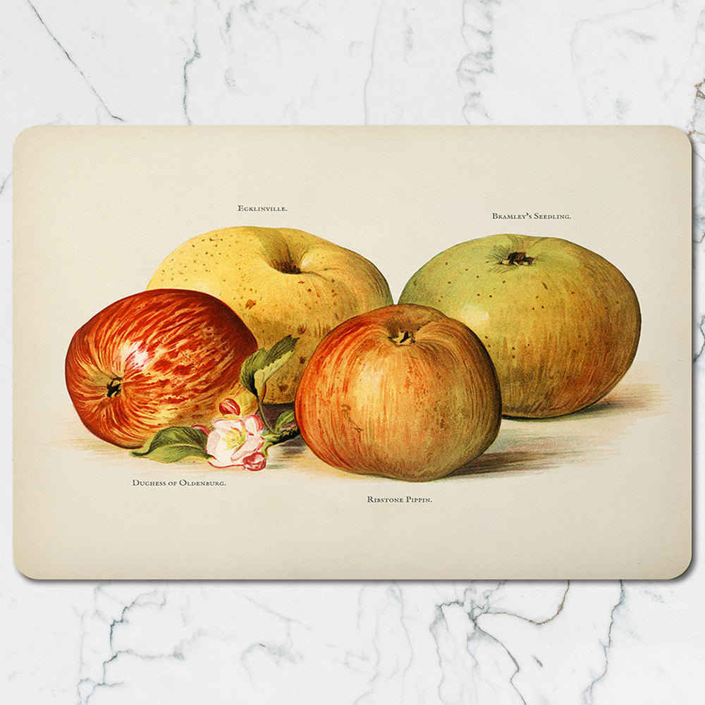 Vintage Apple Illustration Placemats And Coaster Set