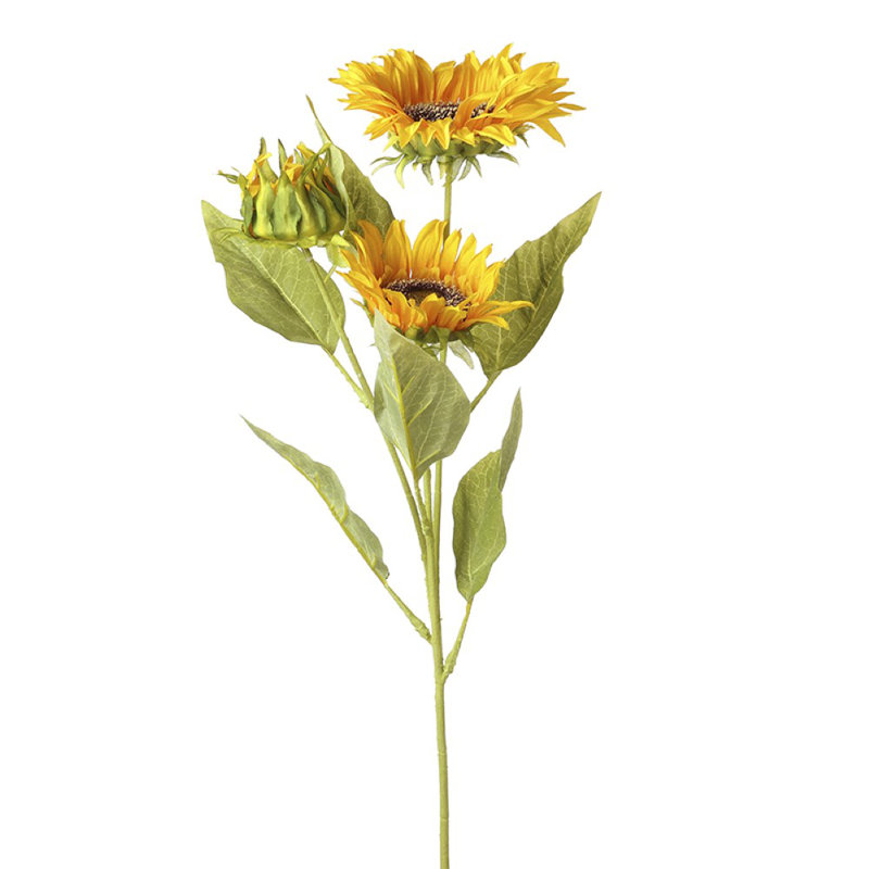 Arrangement
