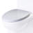 Elongated Toilet Seat