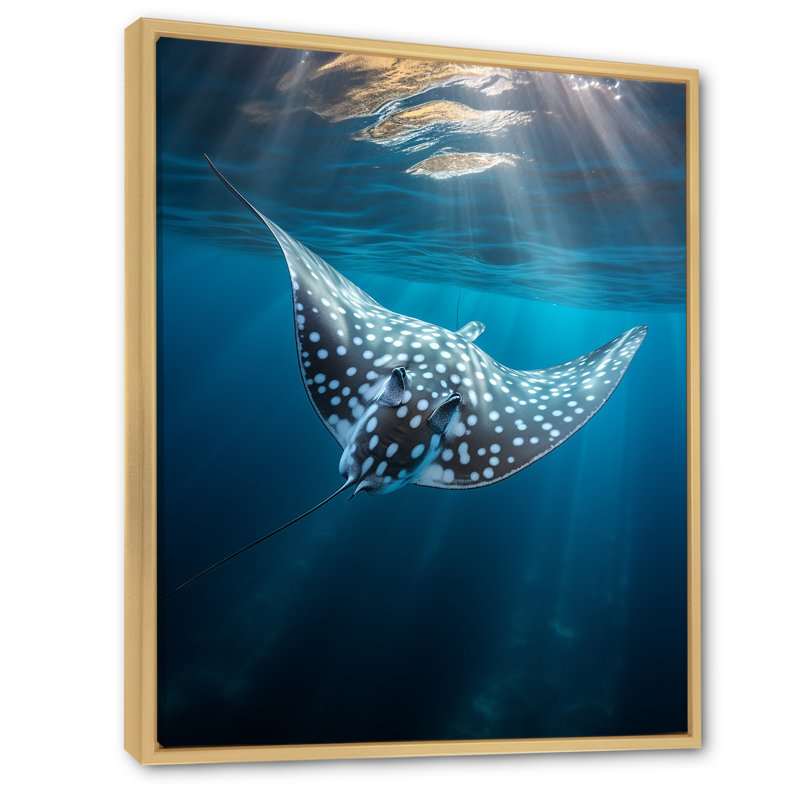 Wilbrecht Ray Graceful Glide Ocean sur toile, H 40 po x l 30 po x P 1,5 po, Cadre naturel flottant
