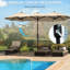 Parasol Brown