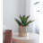 Maughan Ceramic Pot Planter