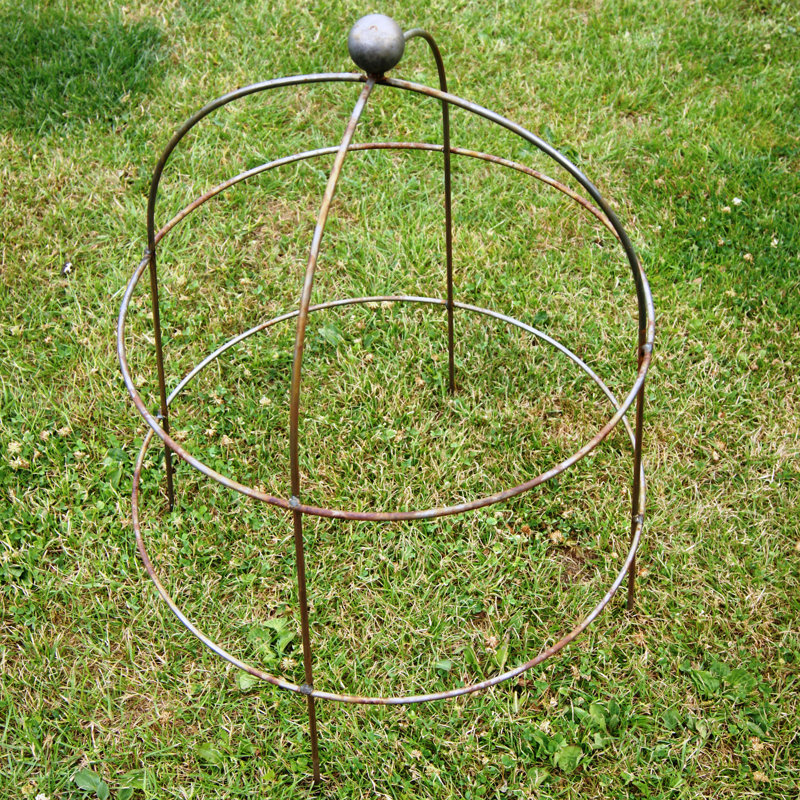 Zayn 68 cm H x 50 cm W Arched and Obelisk Trellis