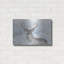 Art mural en métal Winston Porter «Whitetail Winter Wonderland» par Gordon Semmens-1800370070