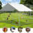 Devanni 100 Square Feet Chicken Run