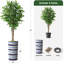 75 plantes-97992053