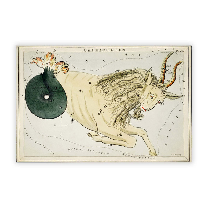 Astronomical Zodiac Chart Of The Capricorn - No Frame Print, 29.7 cm H x 42 cm W