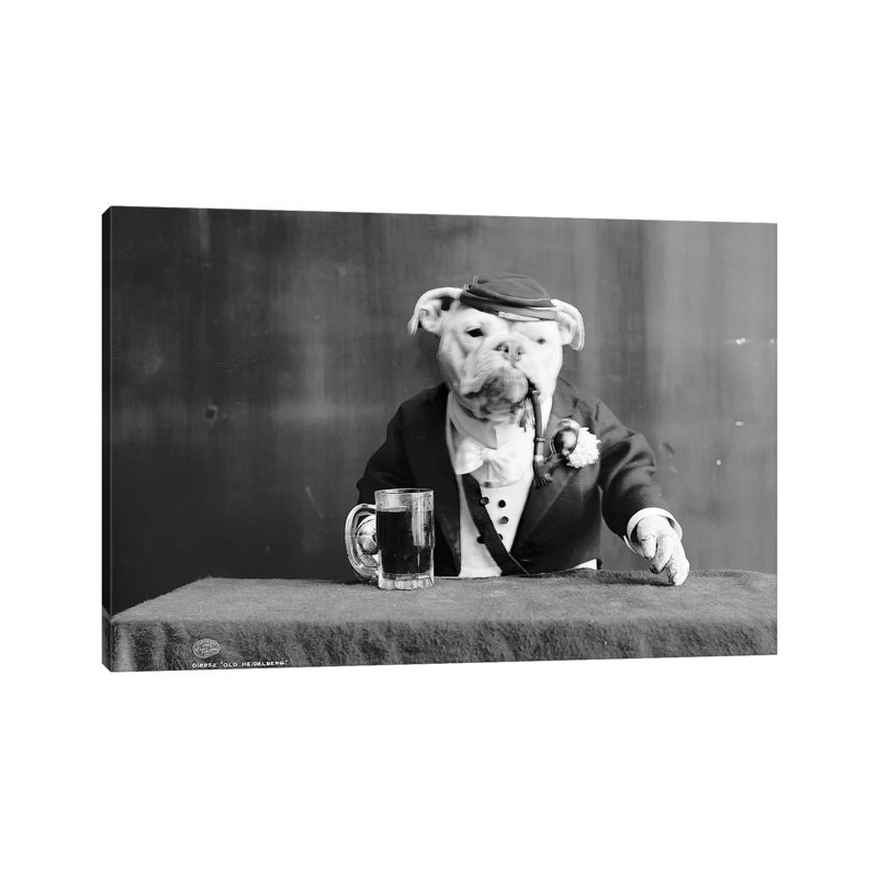 Bulldog, C1905 - Wrapped Canvas Print, 20.32 cm H x 30.48 cm W
