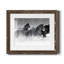 Winter Roundup I - Photographie avec cadre-1226318060-1226318063