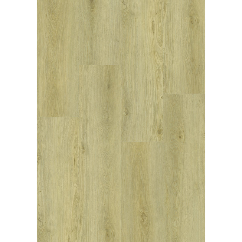Plancher de vinyle Ecostyle 8,0 mm SPC, plancher à noyau rigide imperméable, installation à verrouillage par clic, aspect grain de bois, 22,64 pieds carrés par boîte, pour la cuisine, la salle de bain et le salon
