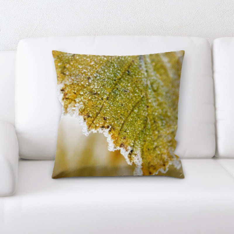 Throw Pillow