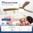 52 In. 3 - Blade Wood Indoor Ceiling Fan with Light and Remote, Dimmable, Reversible DC Motor, Memory Function-487372284-487372285