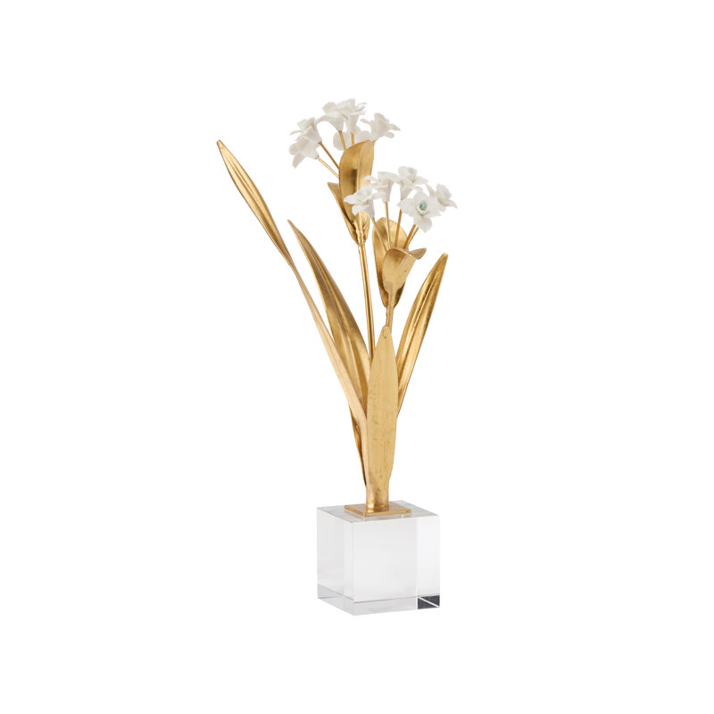 Paperwhite Narcissus