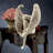 Jacksin Religious & Spiritual Ceramic Garden Statue