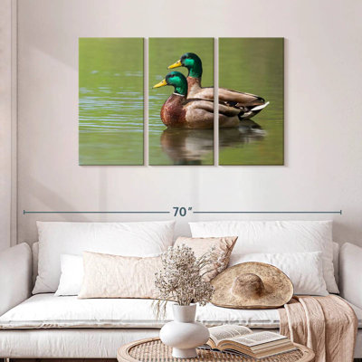 Brampt Mallard Duck Couple