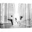 Let's Dance! by Julian Lauren - No Frame Print on Canvas-2016296044