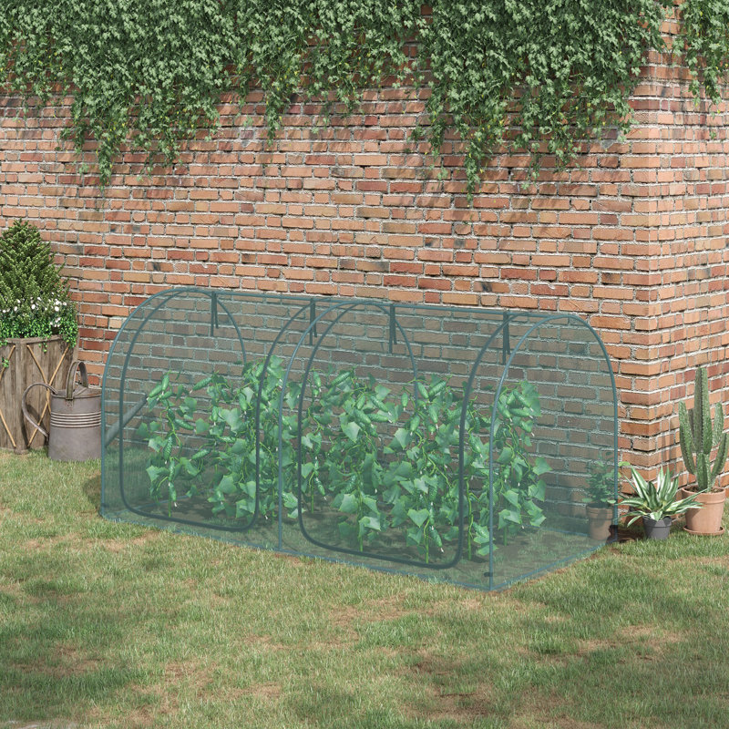 Cage de culture 8 x 3 pi avec deux portes à fermeture à glissière vert foncé