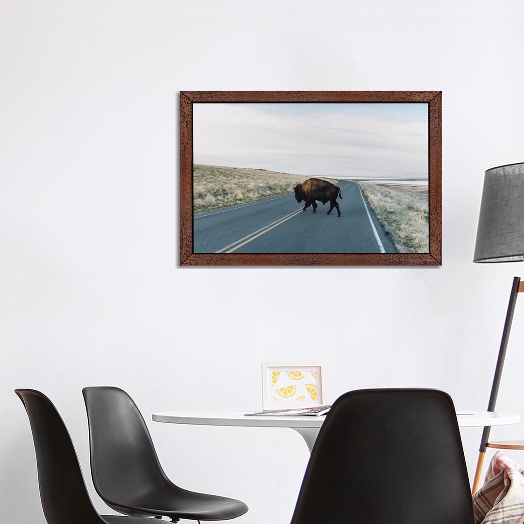 Leinwandbild Buffalo Bison von Chelsea Victoria