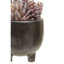 25cm Faux Succulent in Ceramic Pot