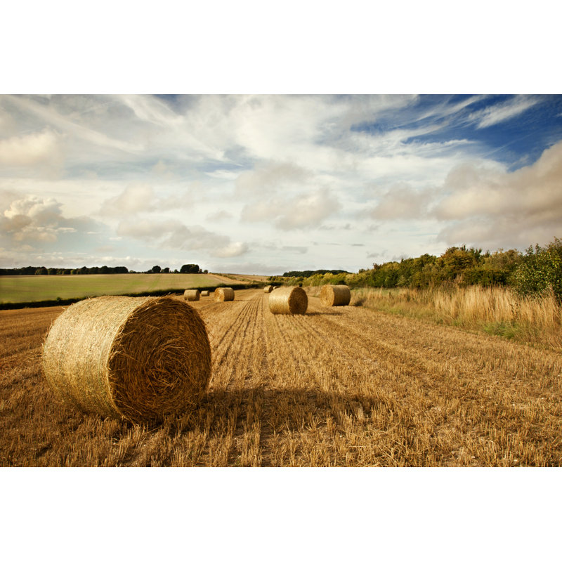 Straw Bales by Gollykim - Print, 30cm H x 46cm W