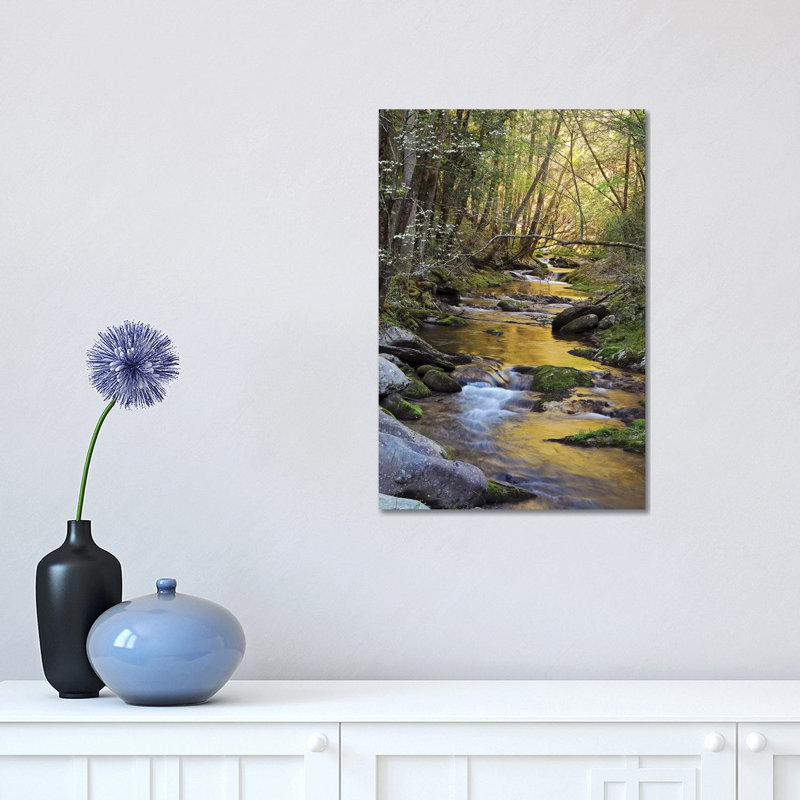 «Springtime Creek» par Brian Wolf - photographie sur toile tendue, H 18 po x l 12 po x 1,5 po