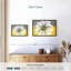Marguerite sur les couleurs-1524741309-1524741307