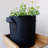 Gearonic Hydroponic Unit