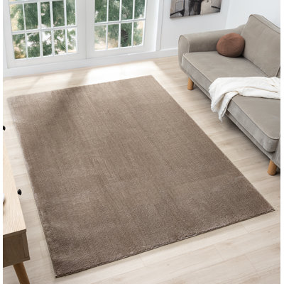 Taeler Washable Modern Living Room Rug Polyester - Anti-Slip Felt Backing SuperSoft Carpet, Dark Beige