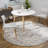 Flatiron Oriental Indoor Rug-808067672