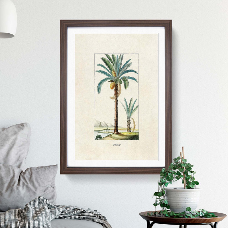 Illustration of a Date Palm Tree - Framed Print, 36cm H x 27cm W x 2cm D, Walnut Framed