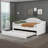 Harlowe Twin Size Tufted Velvet Upholstered Daybed With Trundle, USB & Type-C Charging Port-537962536