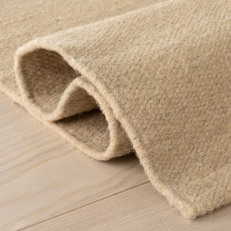 Iirela Modern Beige Rug, Rectangle 9'6" x 13'6"